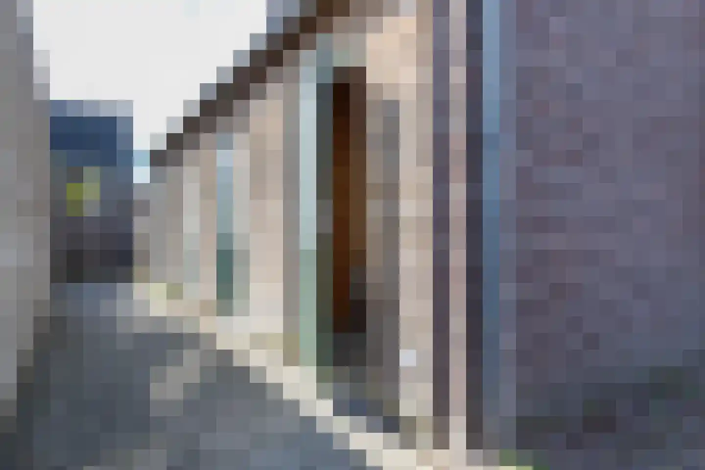 Rietoever 50 Roelofarendsveen thumbnail 44