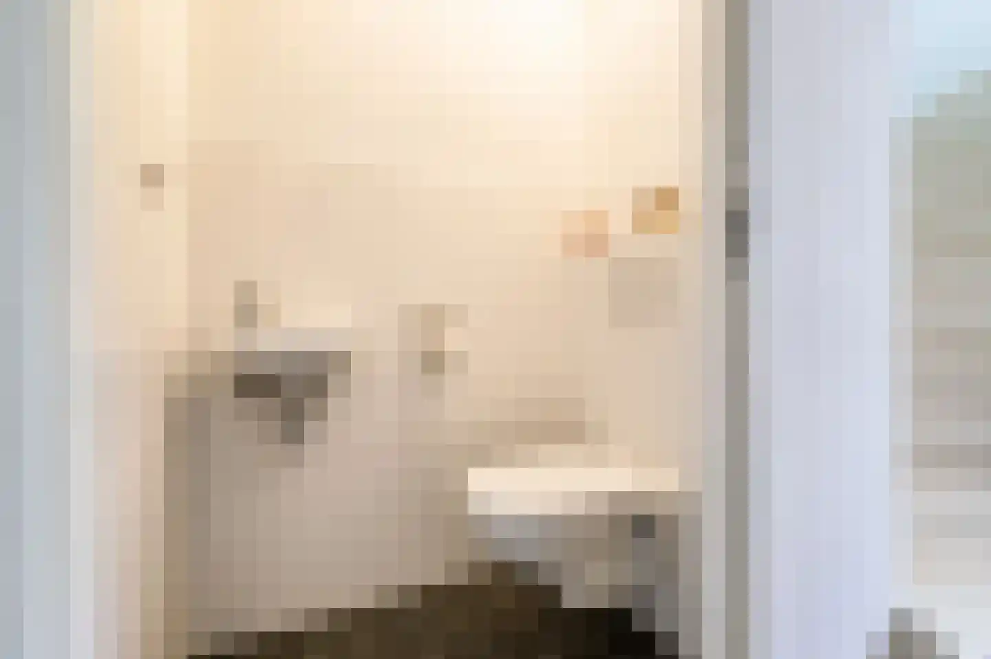Rietoever 50 Roelofarendsveen thumbnail 9
