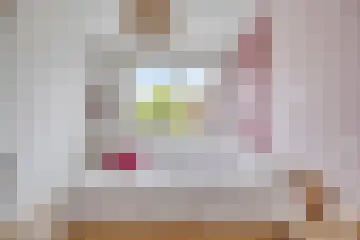 Rietoever 54 Roelofarendsveen thumbnail 11
