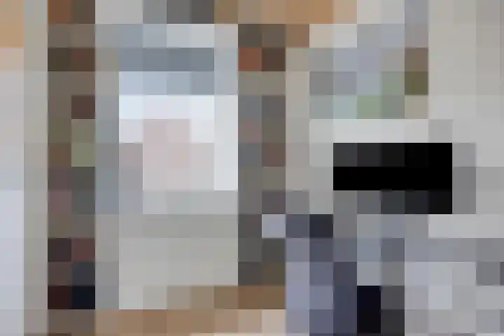 Rietoever 54 Roelofarendsveen thumbnail 13