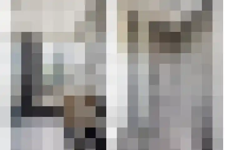 Rietoever 54 Roelofarendsveen thumbnail 14