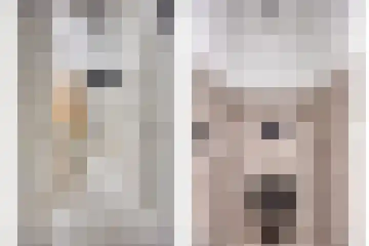 Rietoever 54 Roelofarendsveen thumbnail 15