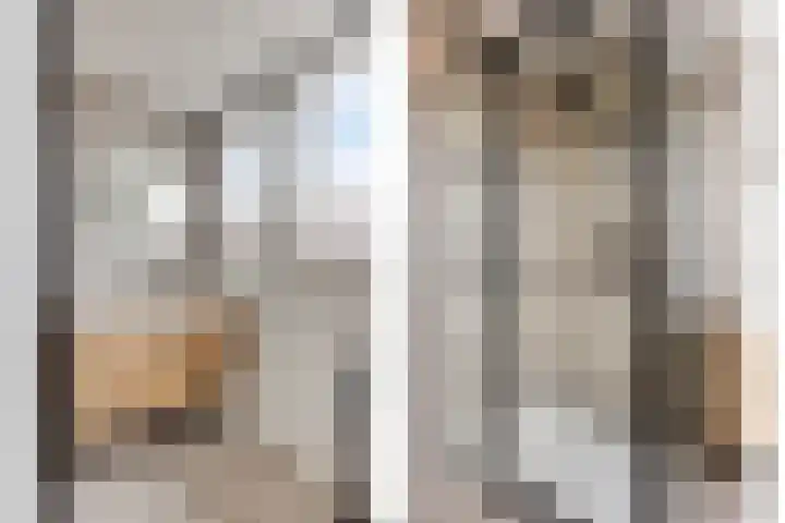 Rietoever 54 Roelofarendsveen thumbnail 18