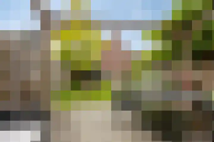 Rietoever 54 Roelofarendsveen thumbnail 20