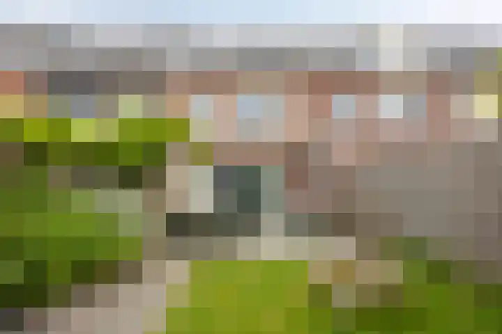 Rietoever 54 Roelofarendsveen thumbnail 21