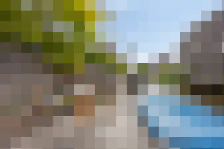 Rietoever 54 Roelofarendsveen thumbnail 22
