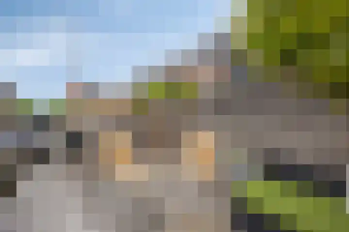 Rietoever 54 Roelofarendsveen thumbnail 23
