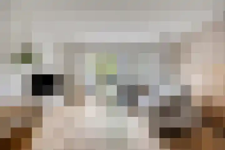 Rietoever 54 Roelofarendsveen thumbnail 4