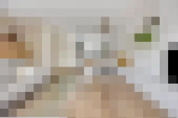 Rietoever 54 Roelofarendsveen thumbnail 5