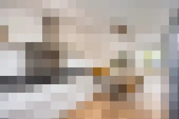 Rietoever 54 Roelofarendsveen thumbnail 9