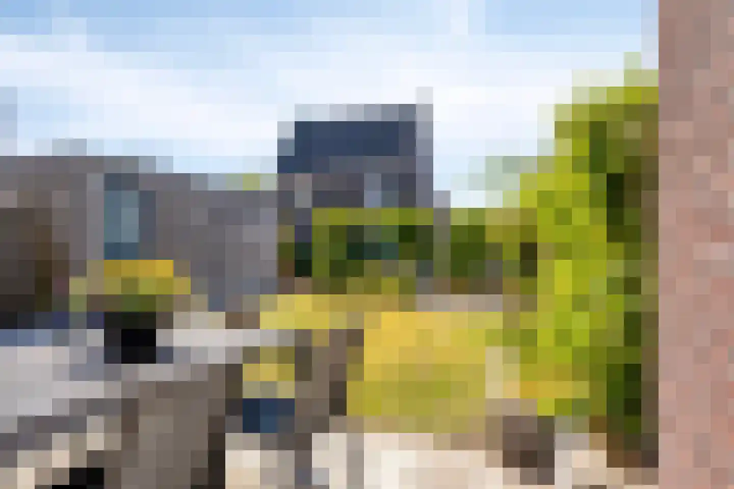 Rietoever 58 Roelofarendsveen thumbnail 17