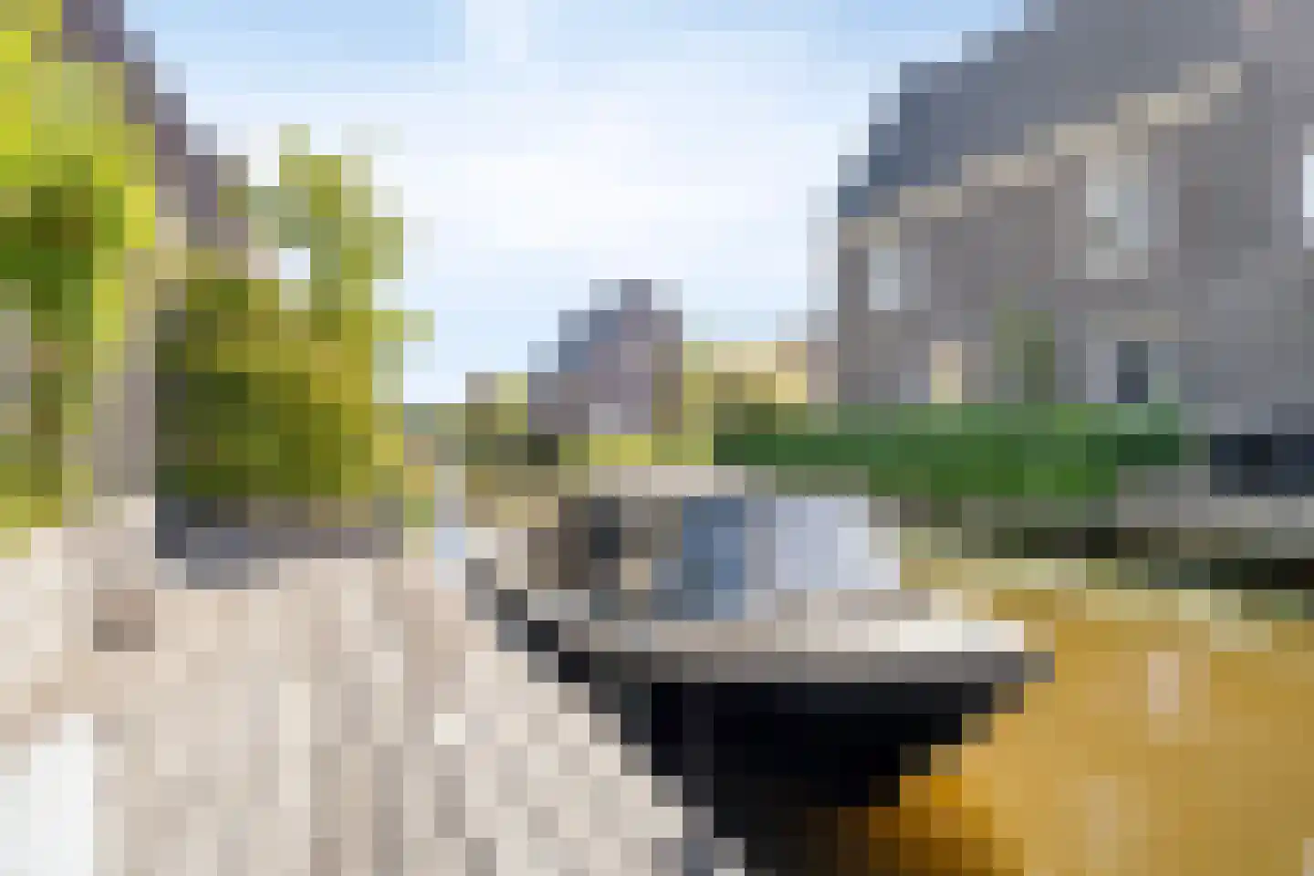 Rietoever 58 Roelofarendsveen thumbnail 18