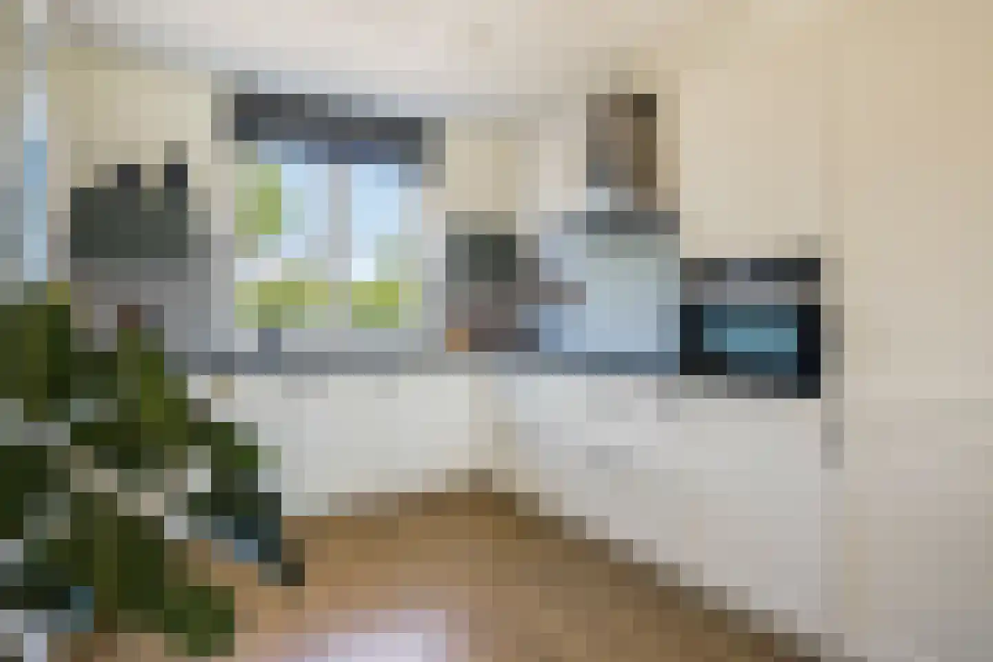 Rietoever 58 Roelofarendsveen thumbnail 6