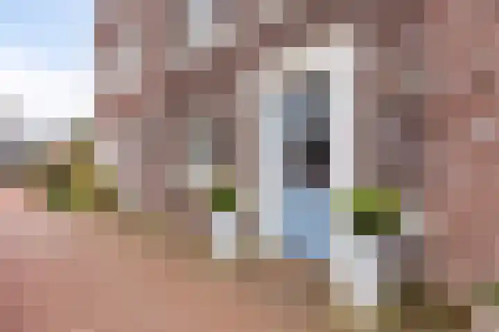 Rietoever 66 Roelofarendsveen