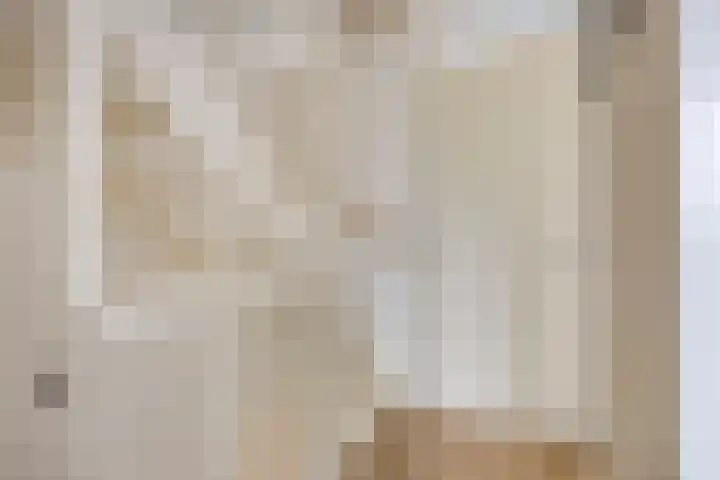 Rietoever 66 Roelofarendsveen thumbnail 10