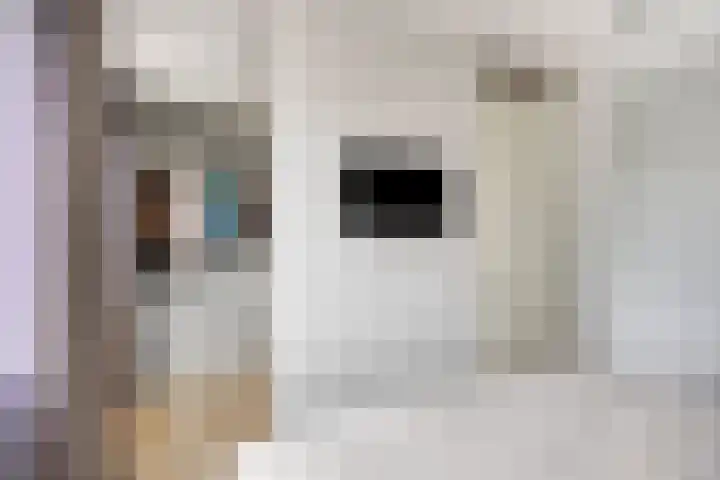 Rietoever 66 Roelofarendsveen thumbnail 12