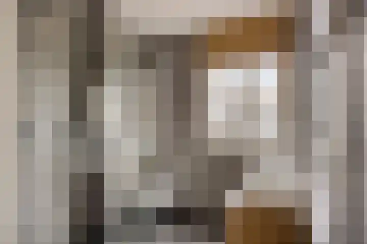 Rietoever 66 Roelofarendsveen thumbnail 13