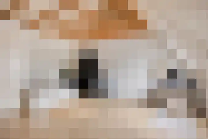 Rietoever 66 Roelofarendsveen thumbnail 17