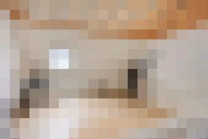 Rietoever 66 Roelofarendsveen thumbnail 18