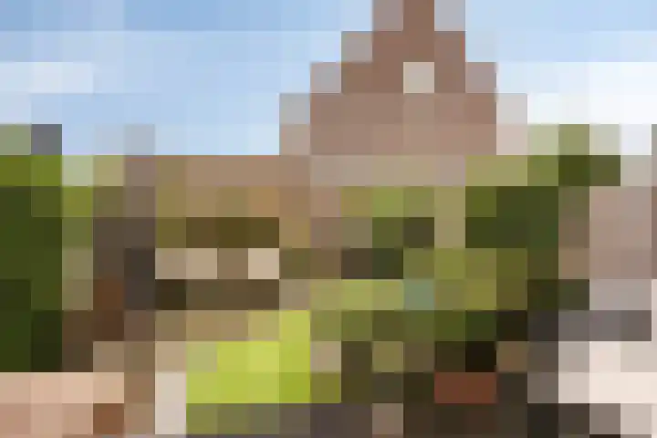 Rietoever 66 Roelofarendsveen thumbnail 19