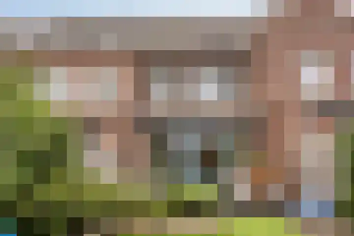 Rietoever 66 Roelofarendsveen thumbnail 20