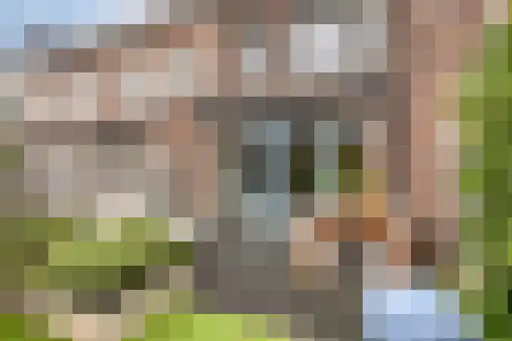 Rietoever 66 Roelofarendsveen thumbnail 21