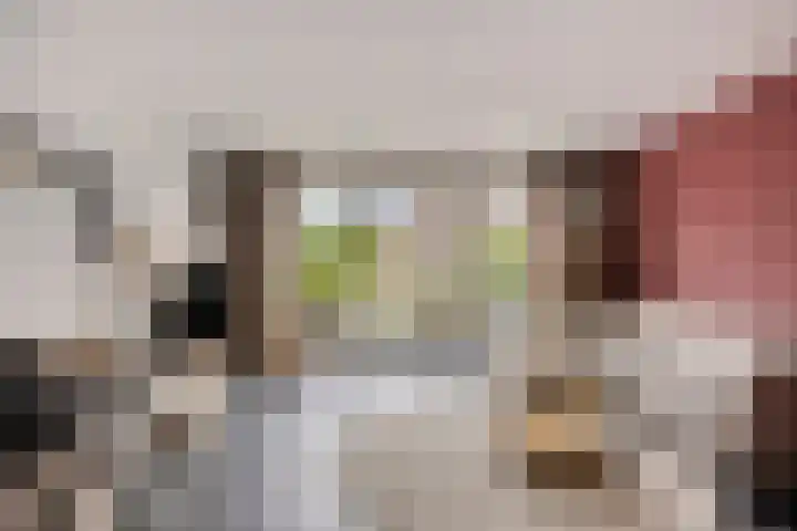 Rietoever 66 Roelofarendsveen thumbnail 4