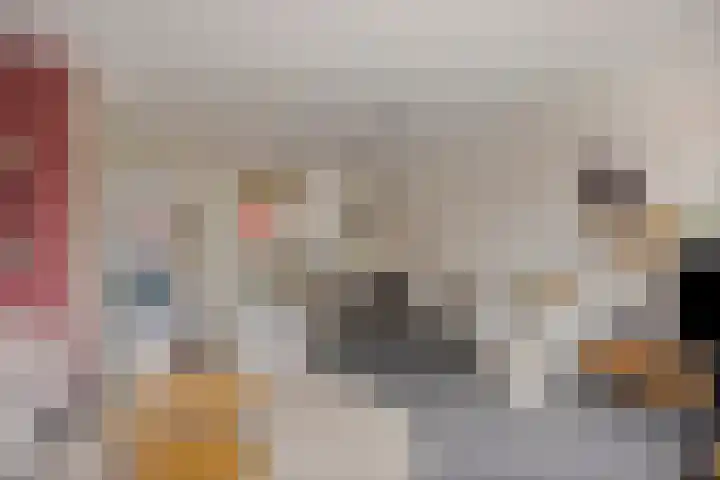 Rietoever 66 Roelofarendsveen thumbnail 6
