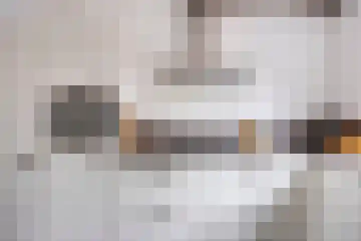 Rietoever 66 Roelofarendsveen thumbnail 8