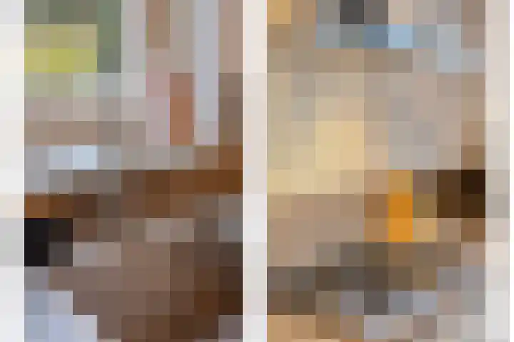 Rietoever 66 Roelofarendsveen thumbnail 9