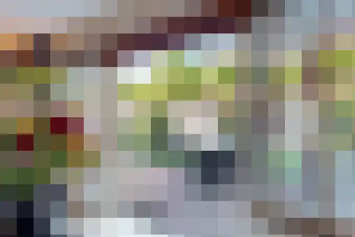 Rietorchis 4 Limmen thumbnail 10