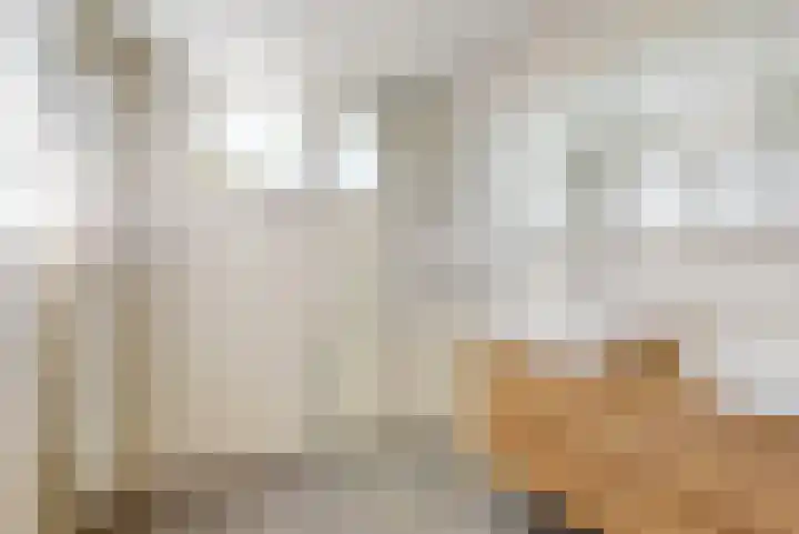 Rietorchis 4 Limmen thumbnail 25
