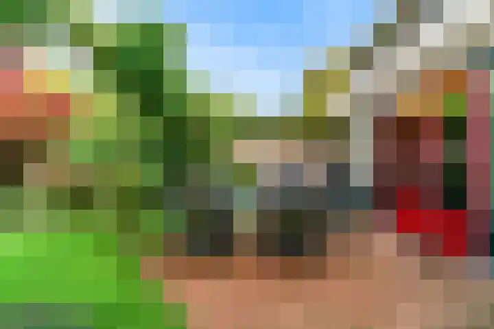 Rietorchis 4 Limmen thumbnail 39