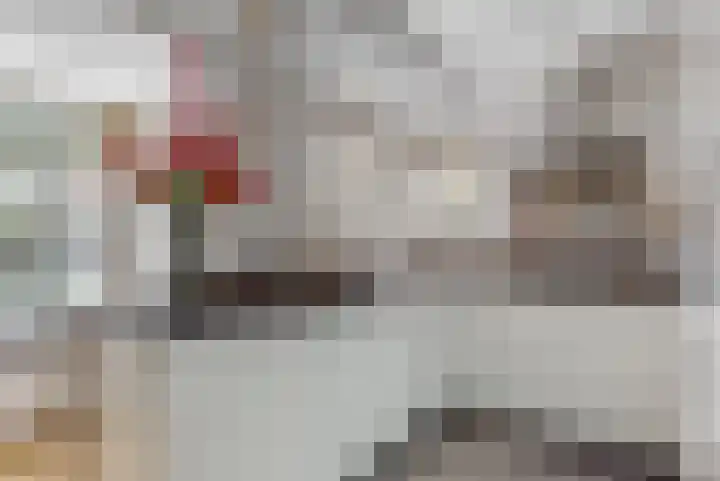 Rietorchis 4 Limmen thumbnail 4