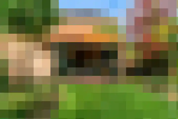 Rietorchis 4 Limmen thumbnail 41