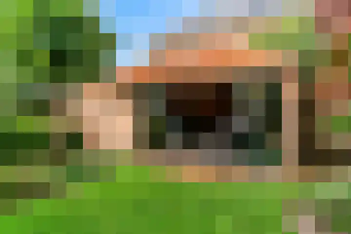 Rietorchis 4 Limmen thumbnail 42