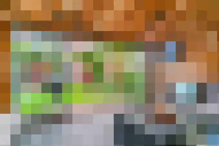 Rietorchis 4 Limmen thumbnail 43
