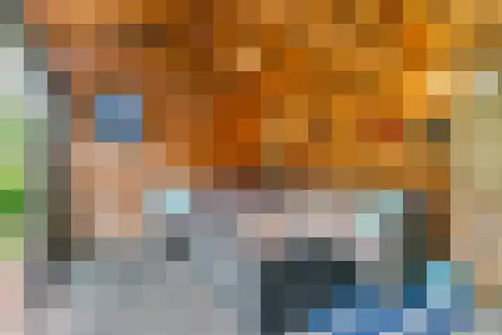 Rietorchis 4 Limmen thumbnail 45
