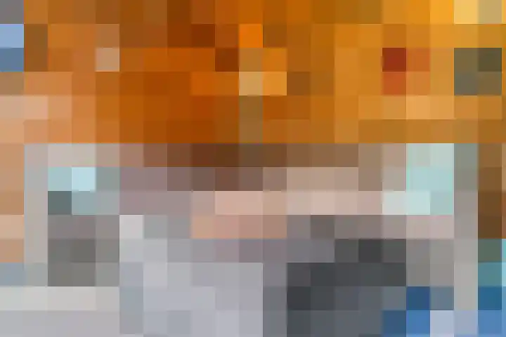 Rietorchis 4 Limmen thumbnail 46