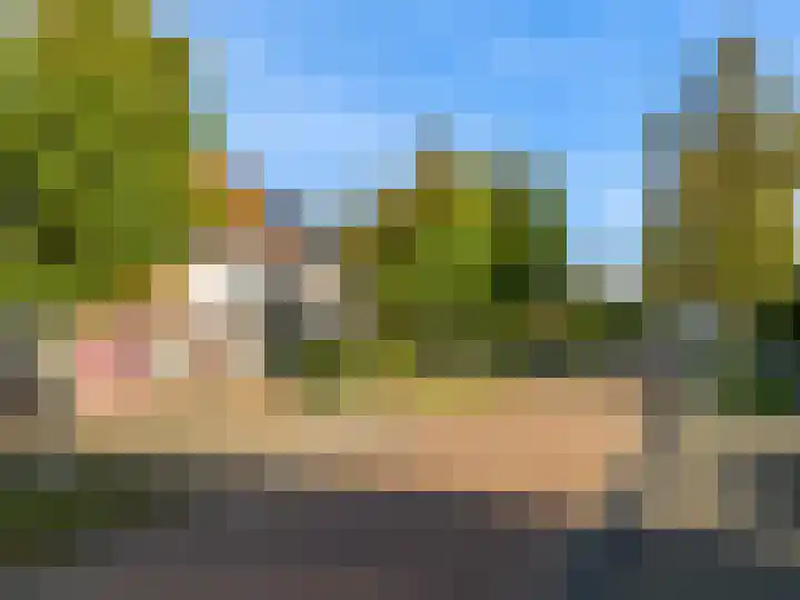 Rietorchis 4 Limmen thumbnail 49