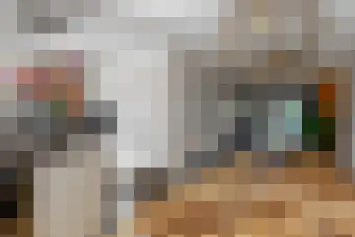 Rietorchis 4 Limmen thumbnail 5
