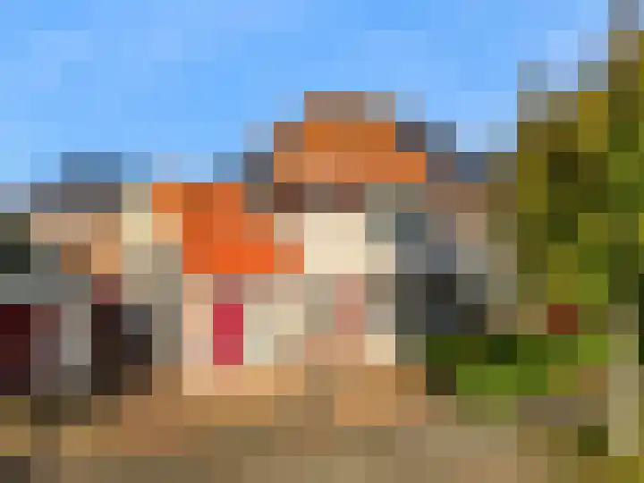 Rietorchis 4 Limmen thumbnail 52