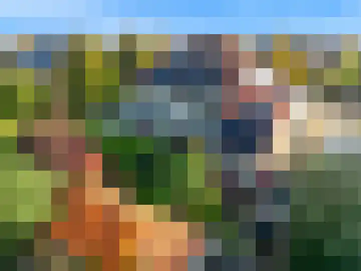 Rietorchis 4 Limmen thumbnail 54