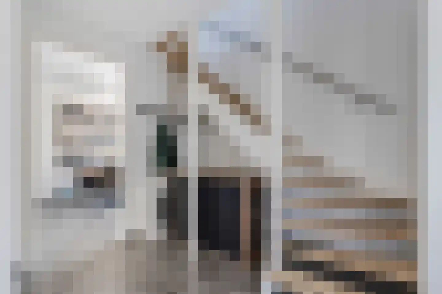 Rietpluim 18 Marknesse thumbnail 10