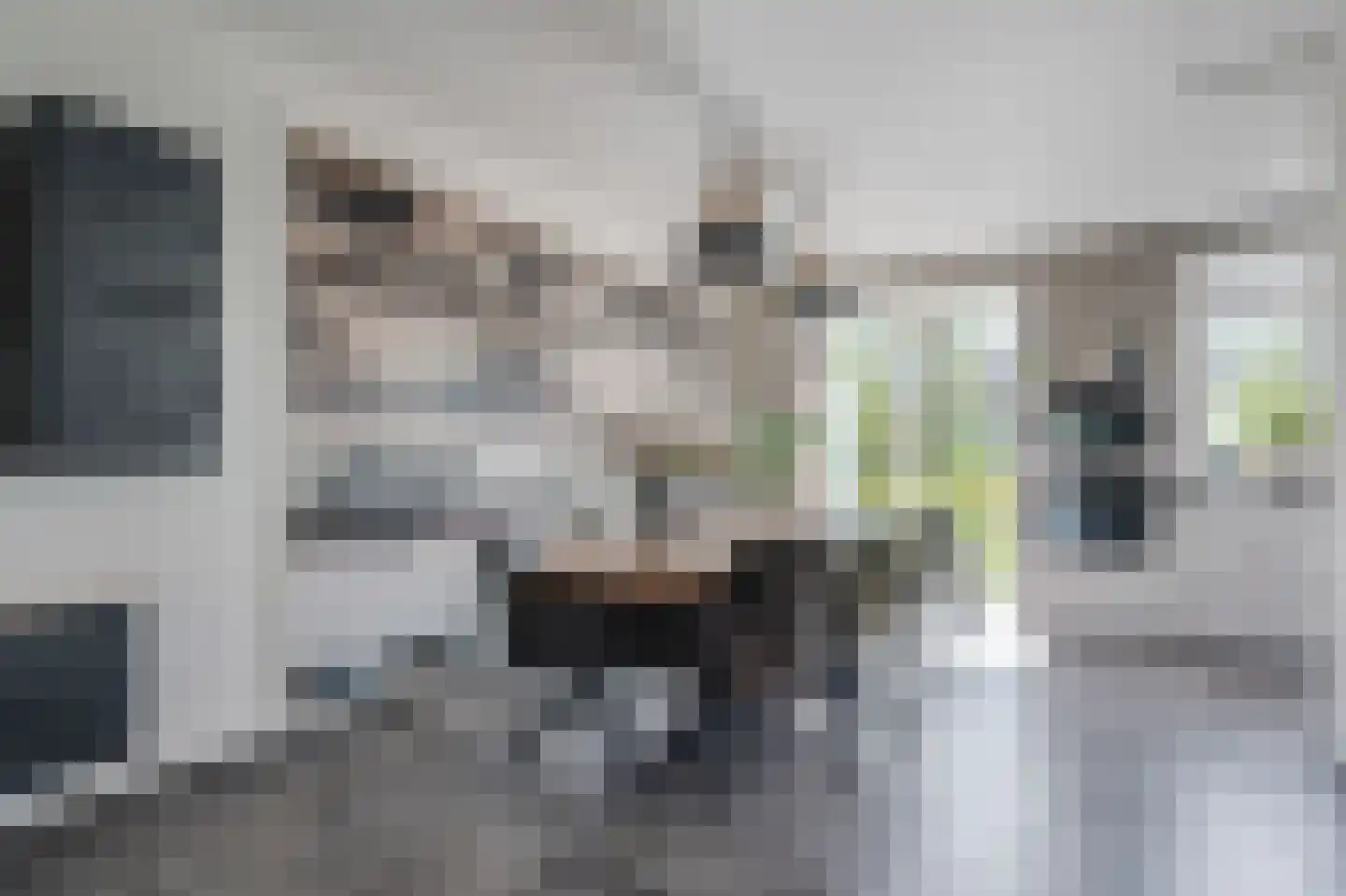 Rietpluim 18 Marknesse thumbnail 12