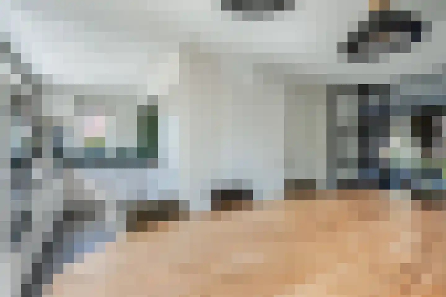 Rietpluim 18 Marknesse thumbnail 14