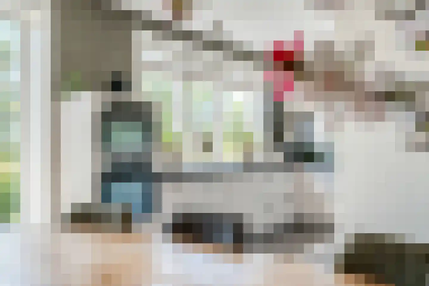 Rietpluim 18 Marknesse thumbnail 15