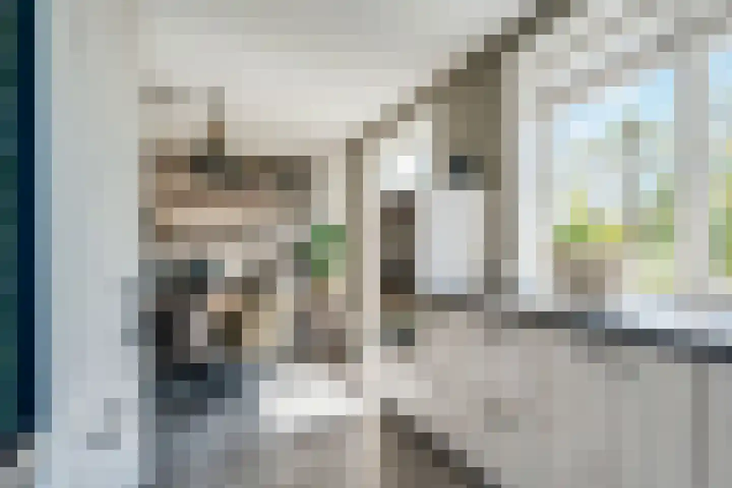 Rietpluim 18 Marknesse thumbnail 19