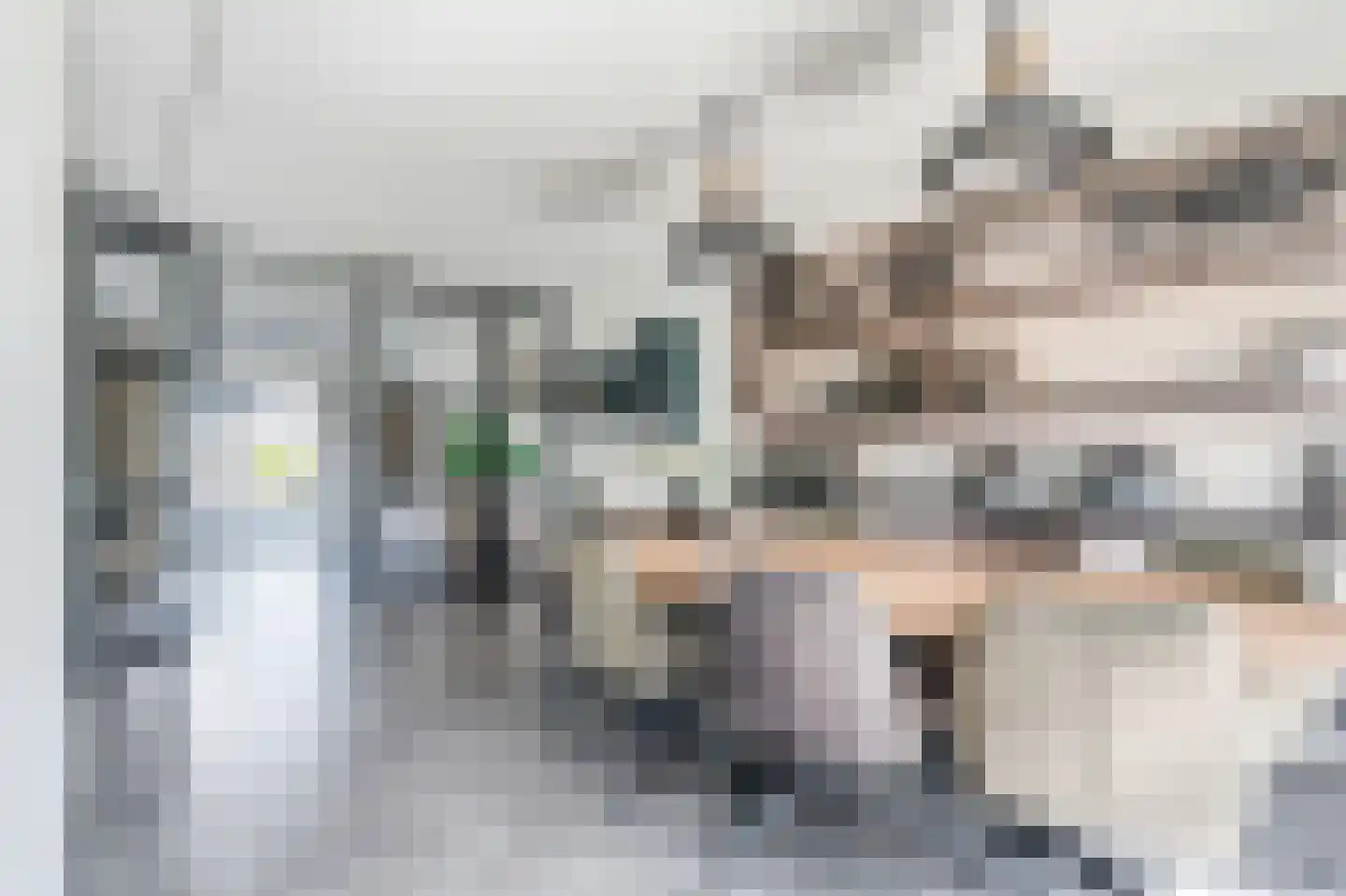Rietpluim 18 Marknesse thumbnail 20