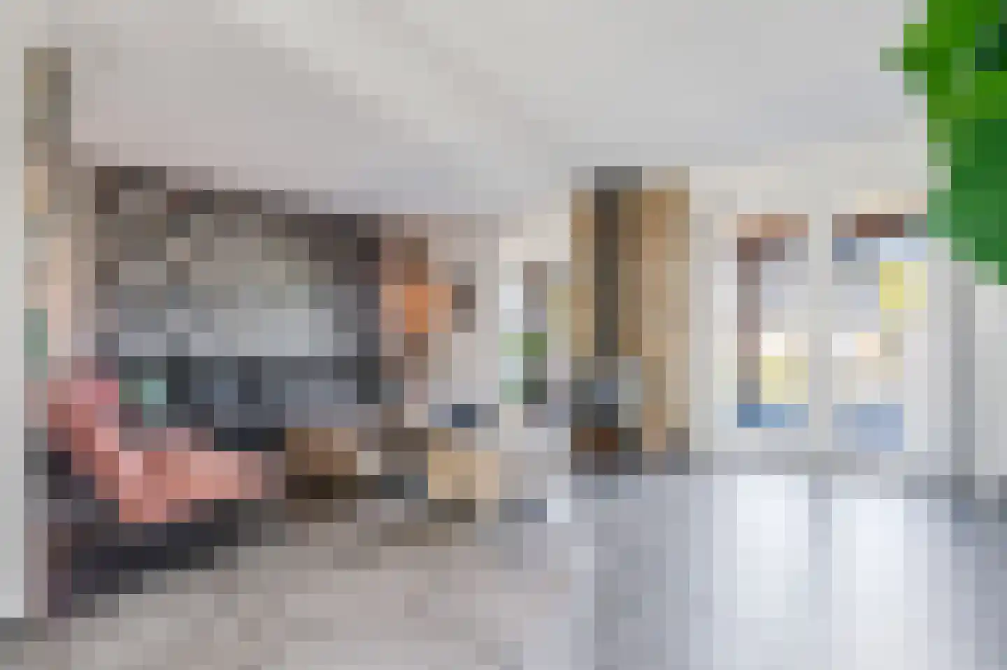 Rietpluim 18 Marknesse thumbnail 21